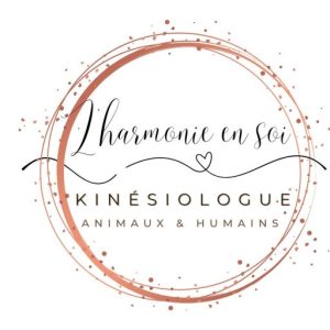 Logo L'harmonie en soi, cabinet de kinésiologie à Libourne par Ester JAUNATRE - Kinésiologue